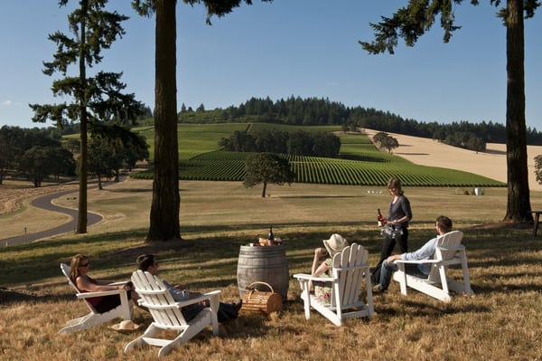 Stoller Family Estate by null