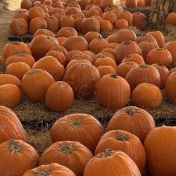 Hunsader Farms