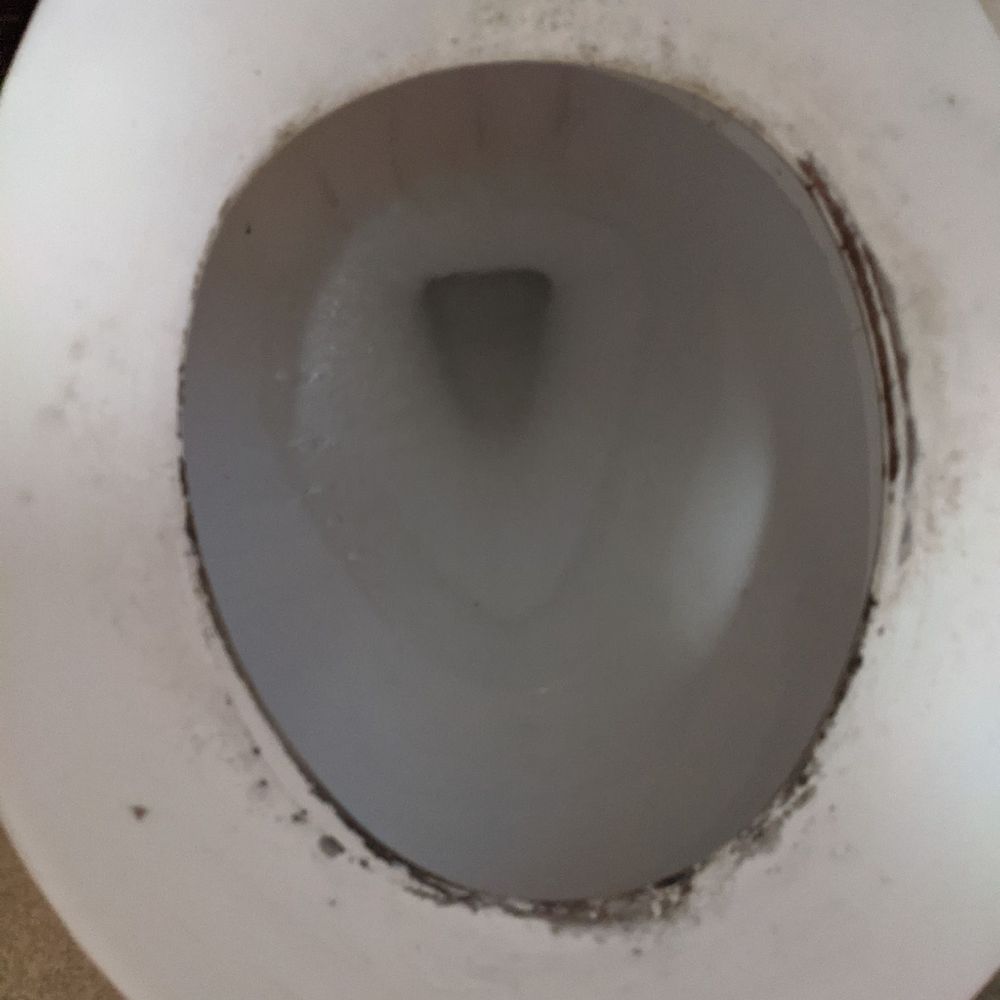 Mold on toilet seat.