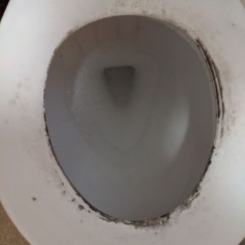 Charlesgate Realty Group - Mold on toilet seat. - Real Estate Agents Near Me - Boston, Massachusetts Charlesgate Realty Group - Mold on toilet seat. - Real Estate Agents Near Me - Boston, Massachusetts