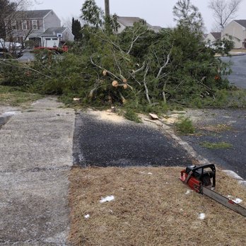 Snyder Tree Service LLC - Cut limbs at curbside - Tree Services Near Me - Harrisburg, Pennsylvania Snyder Tree Service LLC - Cut limbs at curbside - Tree Services Near Me - Harrisburg, Pennsylvania