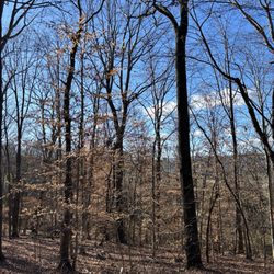 Weddington Road Dog Park