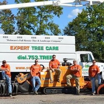 Corrin Tree & Landscape - a group of men standing in front of a truck - Tree Services Near Me - Townsend, Delaware Corrin Tree & Landscape - a group of men standing in front of a truck - Tree Services Near Me - Townsend, Delaware