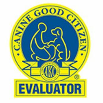 Valor K9 Training - Professional titles offered. - Pet Training Near Me - Chuluota, Florida Valor K9 Training - Professional titles offered. - Pet Training Near Me - Chuluota, Florida