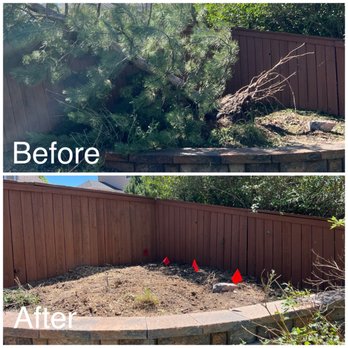 Premier Stump Grinding - A tree that fell during tornado - Tree Services Near Me Premier Stump Grinding - A tree that fell during tornado - Tree Services Near Me