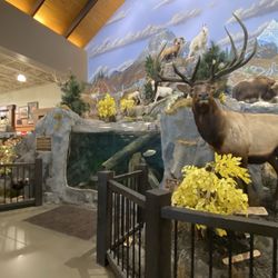 Bass Pro Shops