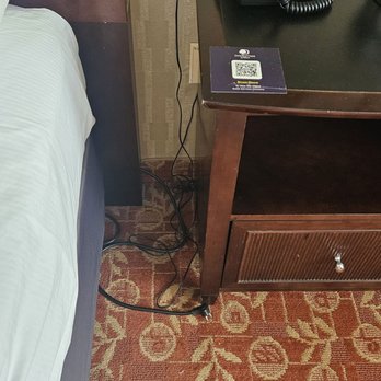 DoubleTree by Hilton Cherry Hill Philadelphia - Unplugged lamp - Hotels Near Me - Cherry Hill, New Jersey DoubleTree by Hilton Cherry Hill Philadelphia - Unplugged lamp - Hotels Near Me - Cherry Hill, New Jersey