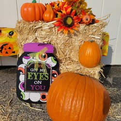 St Catherine Labouré School - Annual Pumpkin Patch (deco)