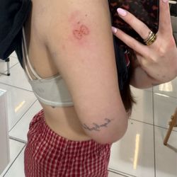 Anomaly Lifestyle Art & Tattoo