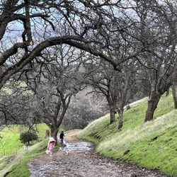 Round Valley Regional Preserve