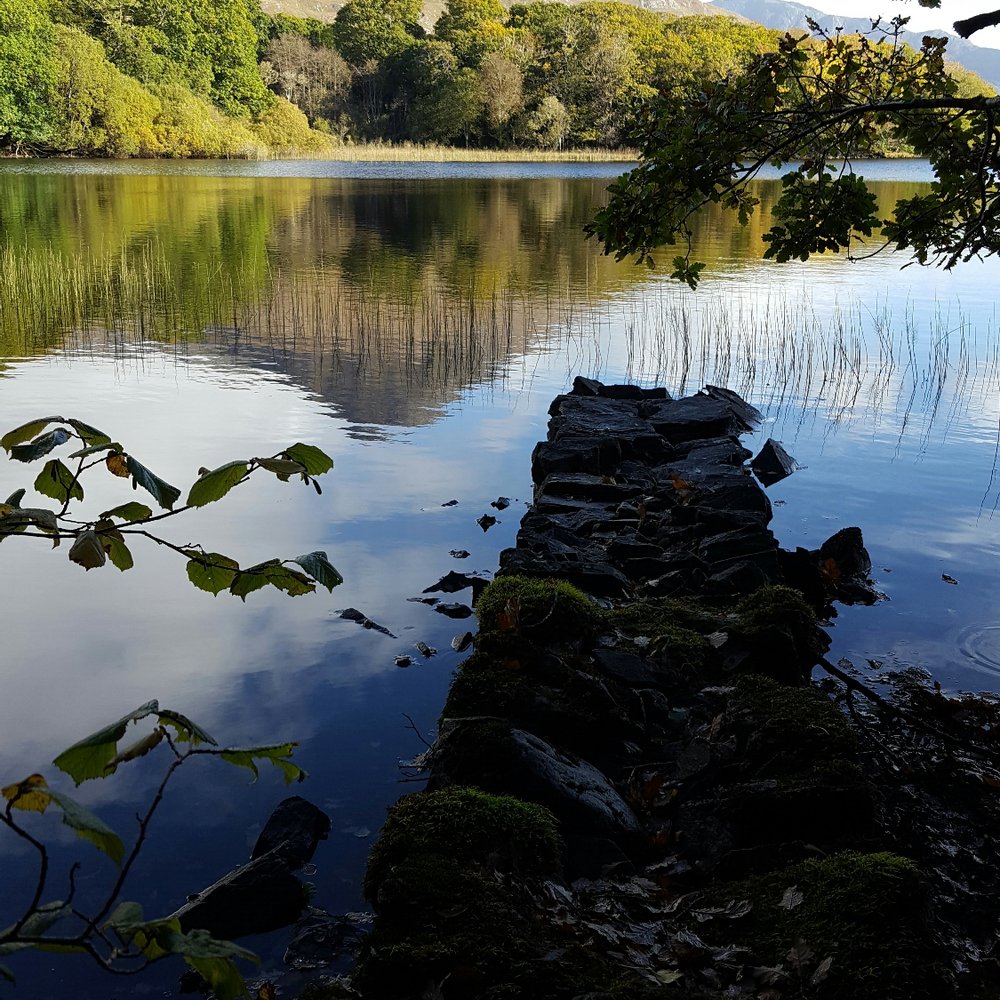 Ballynahinch Castle Hotel - Hotels Near Me