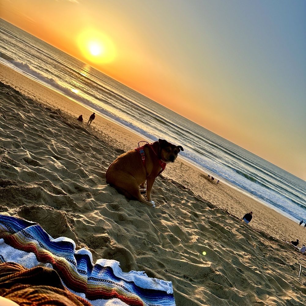 The Sanctuary Beach Resort - Sunset - Resorts Near Me - Marina, California The Sanctuary Beach Resort - Sunset - Resorts Near Me - Marina, California