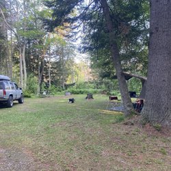 Carp River Campground - Size Pool campsite, with flowing river immediately behind. Clean and well cared for.