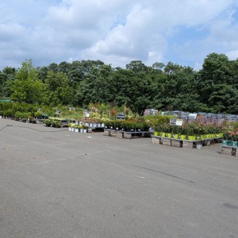 The Home Depot - Bigger selection of trees and shrubs outside - Nurseries & Gardening Near Me - Nanuet, New York The Home Depot - Bigger selection of trees and shrubs outside - Nurseries & Gardening Near Me - Nanuet, New York