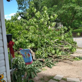 Cheap & Great Tree Services - Underneath this debris are yard signs we paid 100's for for our son's upcoming graduation. Demolished. - Tree Services Near Me - Acworth, Georgia Cheap & Great Tree Services - Underneath this debris are yard signs we paid 100's for for our son's upcoming graduation. Demolished. - Tree Services Near Me - Acworth, Georgia