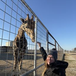 Feeding Blue the giraffe on our walking tour. Feeding Blue the giraffe on our walking tour.