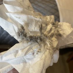 Dust! This is just from the top of the chair rail that runs around the room.