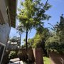 Photo of A J Tree Service
