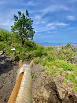 Vesuvius National Park by null