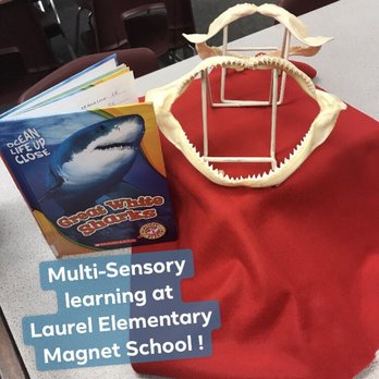 Laurel Elementary Magnet School - They retain so much more because of the experiences they have first hand. - Elementary Schools Near Me - Brea, California Laurel Elementary Magnet School - They retain so much more because of the experiences they have first hand. - Elementary Schools Near Me - Brea, California