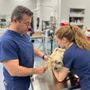 Photo of Community Animal Hospital