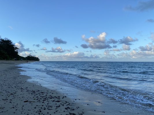 Punaluʻu Beach by null