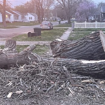 Weatherby's Tree Service - Tree Services Near Me - Riverton, Illinois