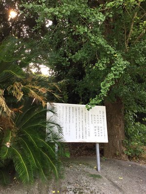 Unzen by null