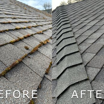 Moss Boss - Roofing Near Me Moss Boss - Roofing Near Me