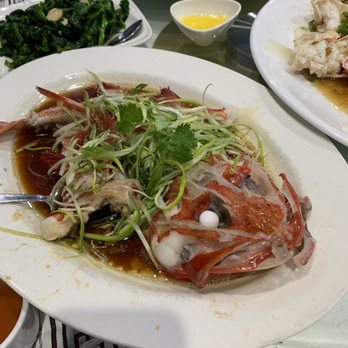 粤皇鼎海鲜会所 - Seafood Near Me - Point, New York 粤皇鼎海鲜会所 - Seafood Near Me - Point, New York