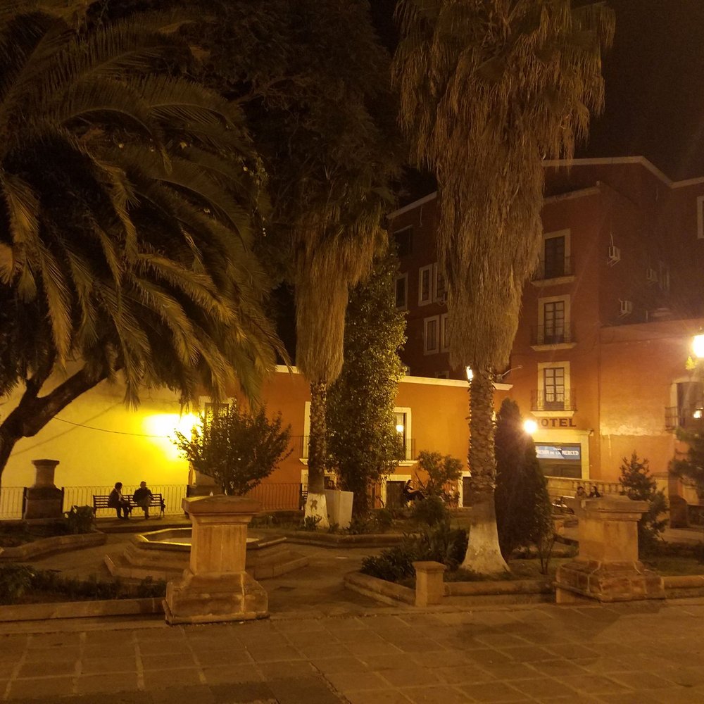 Garufa - Garden/nook as you walk up to Garufa - Steakhouses Near Me - Zacatecas, ZAC Garufa - Garden/nook as you walk up to Garufa - Steakhouses Near Me - Zacatecas, ZAC