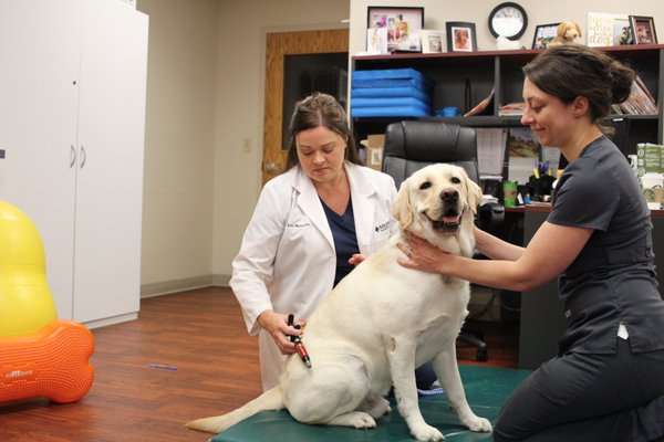 Medvet Columbus East Wilson Bridge Road Worthington Oh MEDVET COLUMBUS - 43 Photos & 123 Reviews - 300 E Wilson Bridge Rd