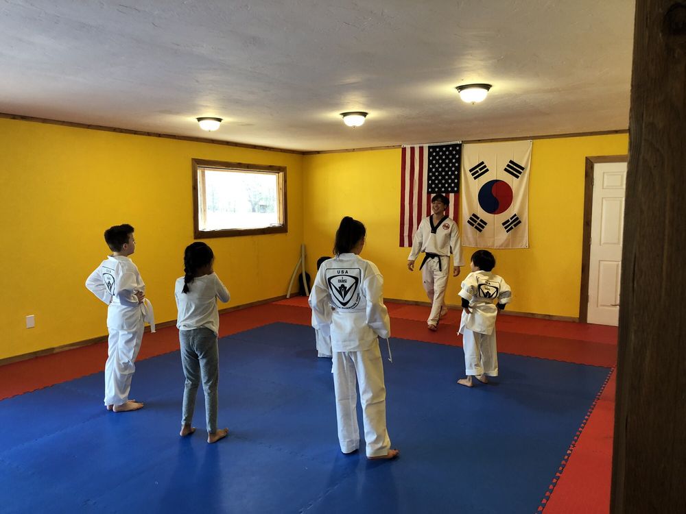 ITU USA / Team USA Taekwondo Texarkana Logo