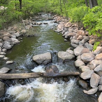 Sea Salt Eatery - Walk the trail down to the Mississippi and back to work off your meal :) - Seafood Near Me - Minneapolis, Minnesota Sea Salt Eatery - Walk the trail down to the Mississippi and back to work off your meal :) - Seafood Near Me - Minneapolis, Minnesota