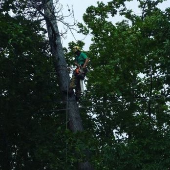 Edwards Tree Service - Tree Services Near Me - Amherst, Ohio