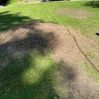 Stump and Grind - Landscaping Near Me - Terre Haute, Indiana