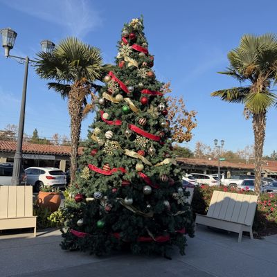 Mayfield Bakery & Cafe by null