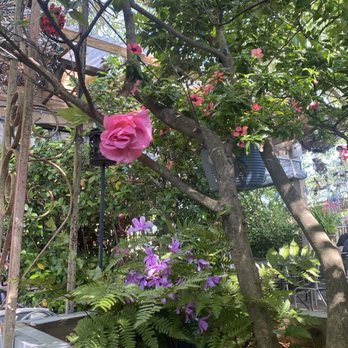 Santi's Restaurante Mexicano - Outside patio - Mexican Near Me - Charleston, South Carolina