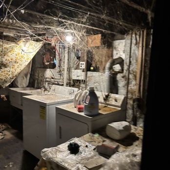 EASE Property Services - Basement- - Property Management Near Me - Washington, DC, District of Columbia EASE Property Services - Basement- - Property Management Near Me - Washington, DC, District of Columbia
