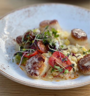 230 Forest Avenue by null