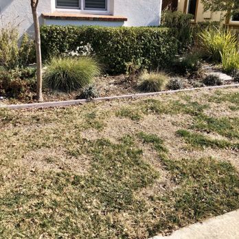 NAM Association Management - Neighbor 1's front yard! - Property Management Near Me - Livermore, California NAM Association Management - Neighbor 1's front yard! - Property Management Near Me - Livermore, California