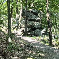 Scene from the park accessed from the end of the service center's road.