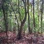 Photo of Frenchtown Road Conservation Area