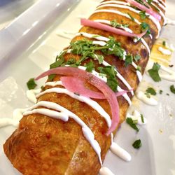 Birria Burrito