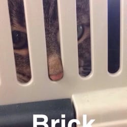 Kent County Animal Shelter