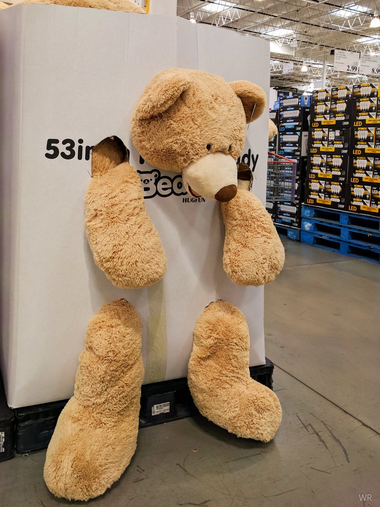 drunk teddy bears at costco