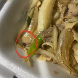 Saigon Terrace - We ordered the Chow Fun and my partner almost ate this cockroach. We were disgusted.