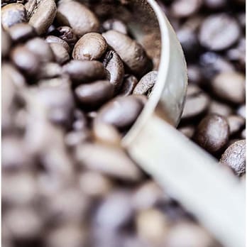 Café Brixius-Eck - Cafes Near Me - Monreal, RP Café Brixius-Eck - Cafes Near Me - Monreal, RP