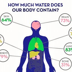Drink water for your organs!