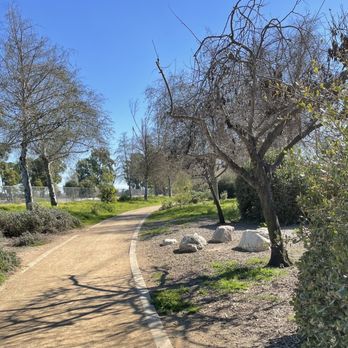 Monte Verde Park - Trees - Parks Near Me - Lakewood, California Monte Verde Park - Trees - Parks Near Me - Lakewood, California